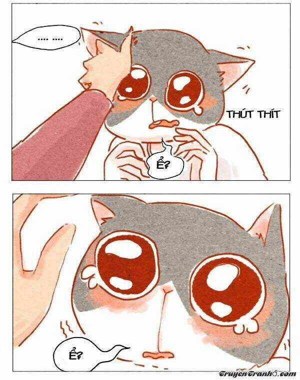 Hey, Your Cat Ears Are Showing Chapter 2 trang 4