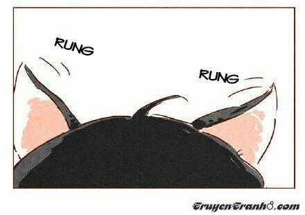 Hey, Your Cat Ears Are Showing Chapter 8 trang 5