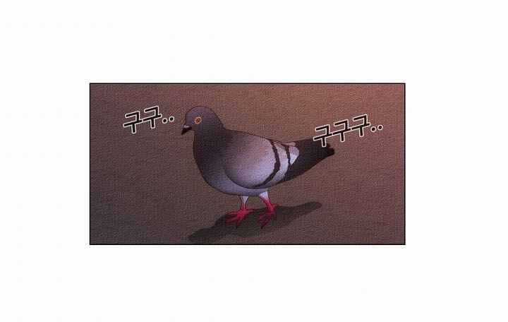 Hiện Thực Của Phim Ảnh Dịch vụ xem phim trực tuyến Chapter 19 trang 72