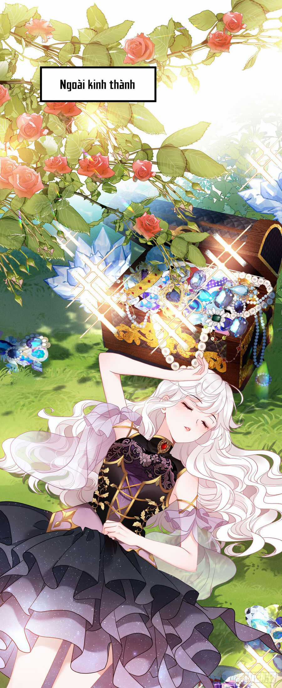 Hiệp Sĩ Độc Quyền Của Long Nữ Chương 1 trang 13