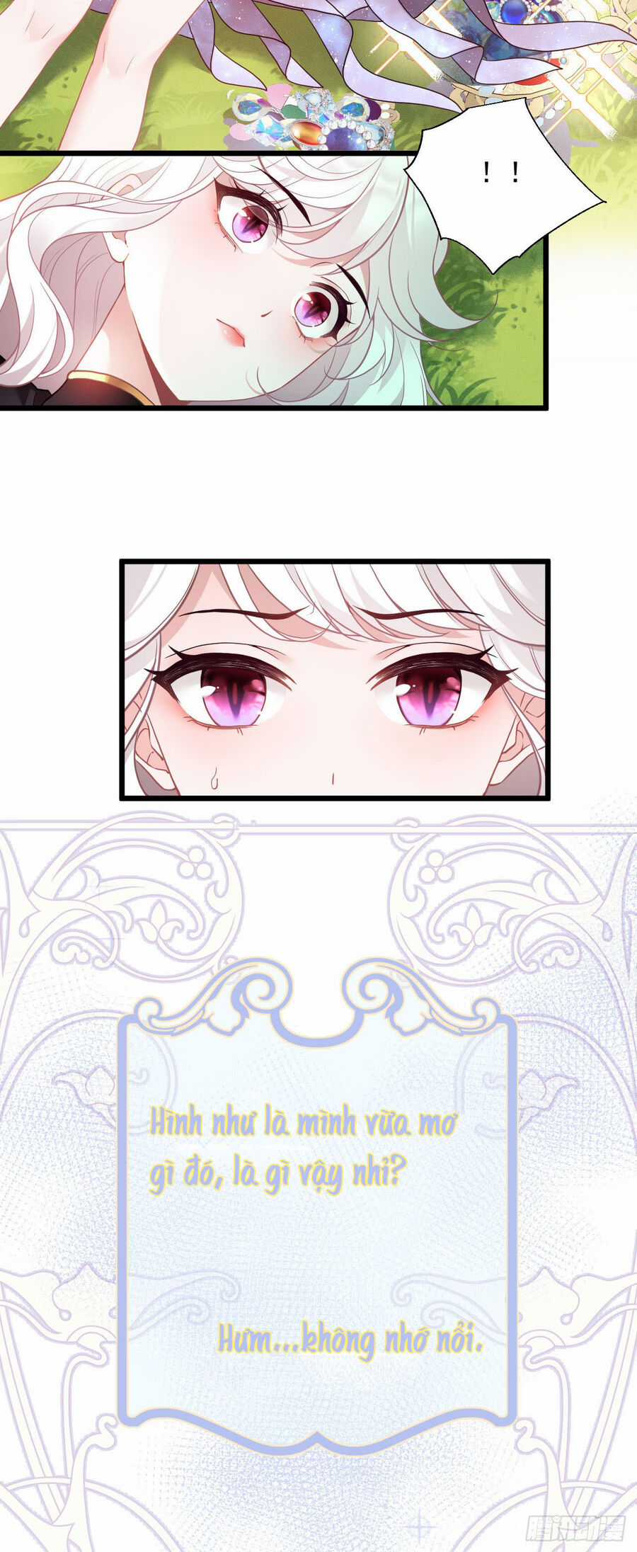 Hiệp Sĩ Độc Quyền Của Long Nữ Chương 1 trang 14