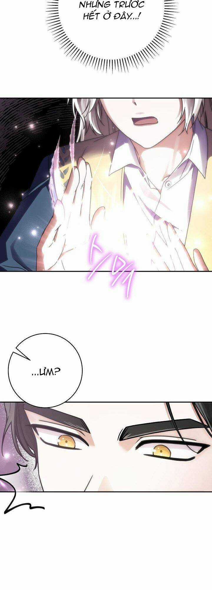 Hiểu Nhầm Rồi, Tôi Không Phải Người Tình Của Trùm Cuối Đâu Chapter 1 trang 46