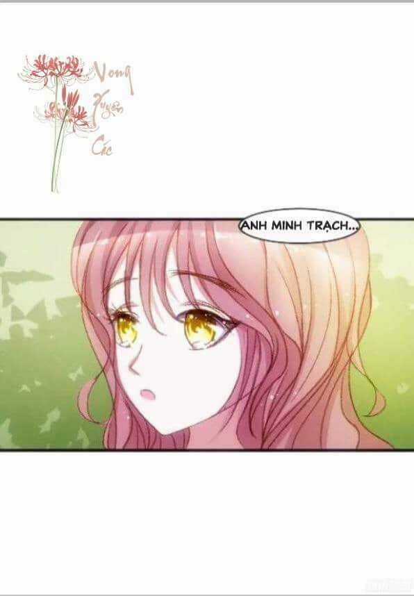 Hiệu Thảo Không Thể Không Quá Đáng Yêu Chapter 2 trang 8