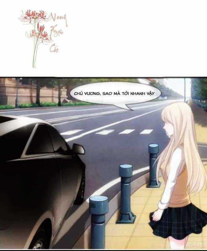 Hiệu Thảo Không Thể Không Quá Đáng Yêu Chapter 4 trang 9