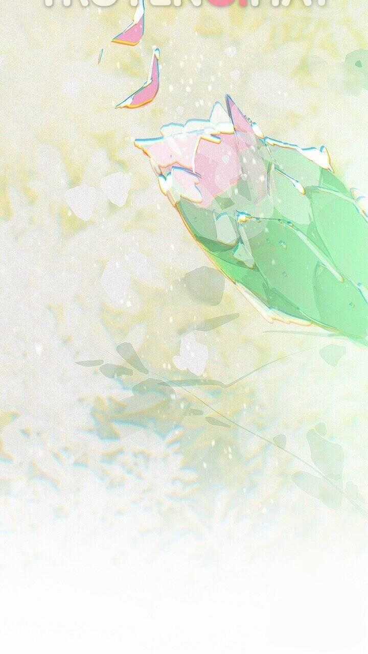 Hiệu Ứng Stigma Chapter 48.2 trang 25