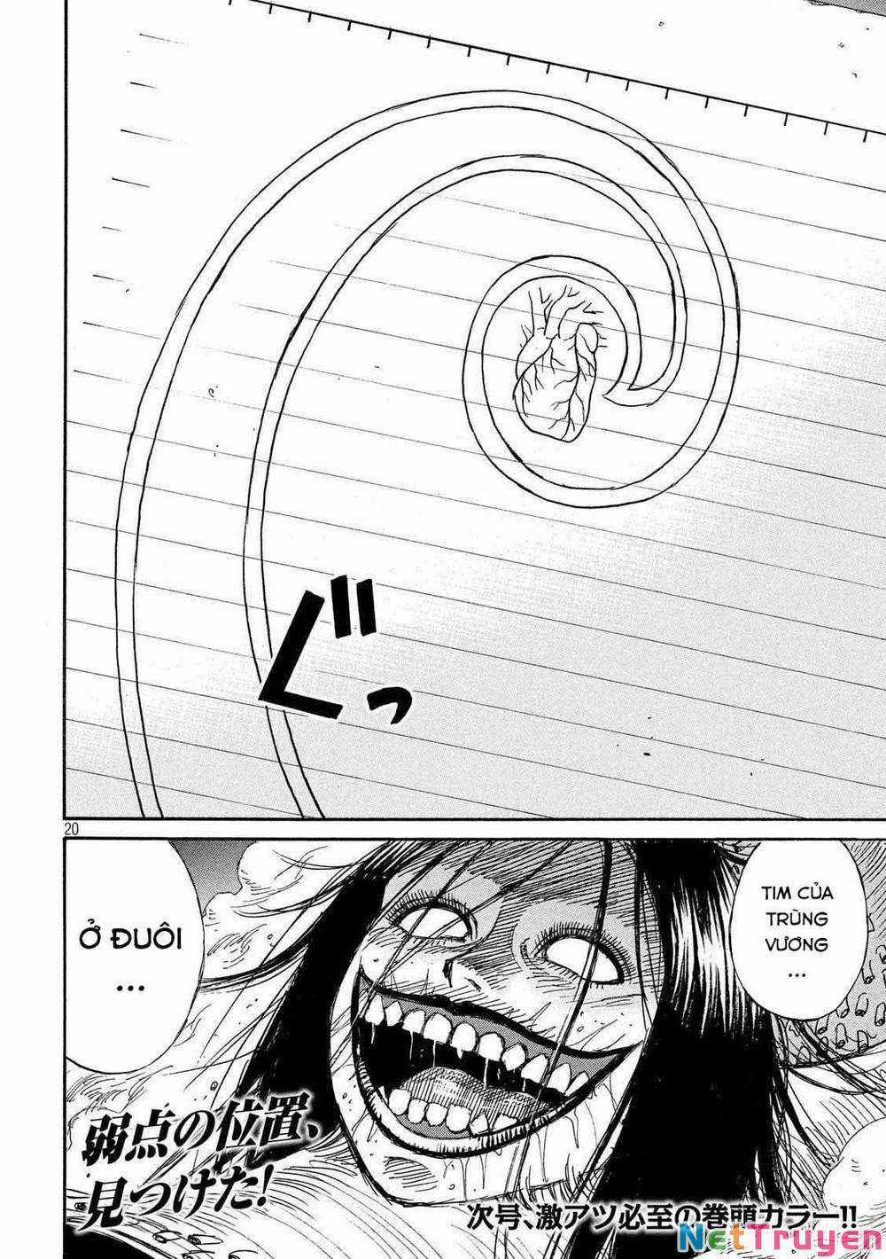 Higanjima SS3 Chapter 247 trang 18