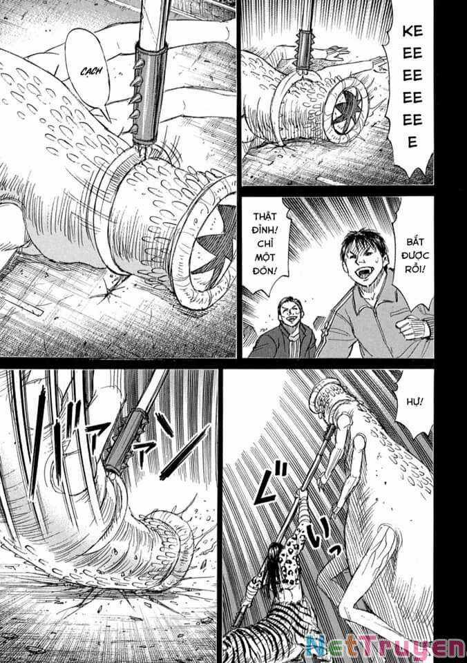 Higanjima SS3 Chapter 273 trang 11