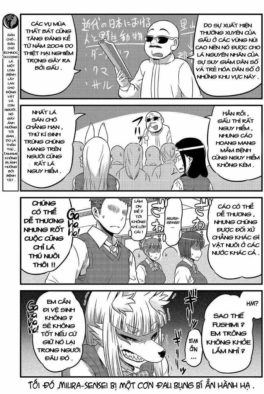 High School Inari Tamamo-Chan Chapter 1 trang 10
