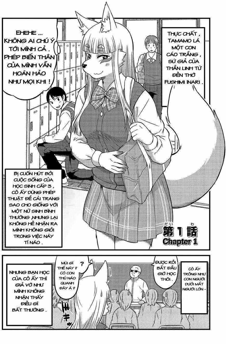 High School Inari Tamamo-Chan Chapter 1 trang 5