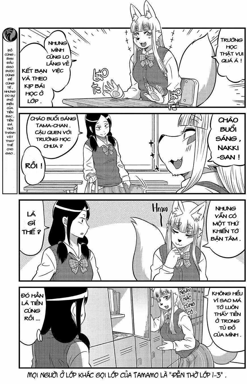 High School Inari Tamamo-Chan Chapter 1 trang 6