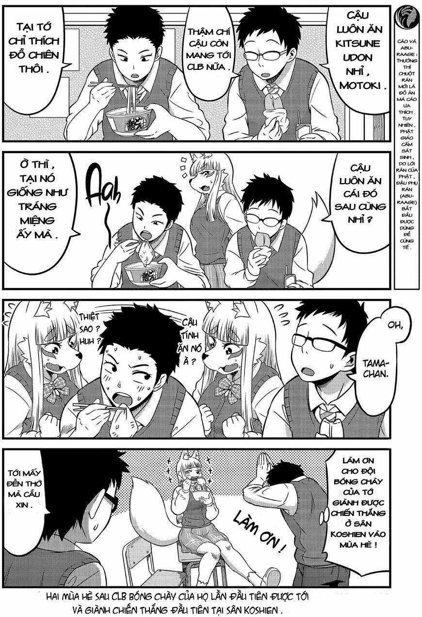 High School Inari Tamamo-Chan Chapter 1 trang 7