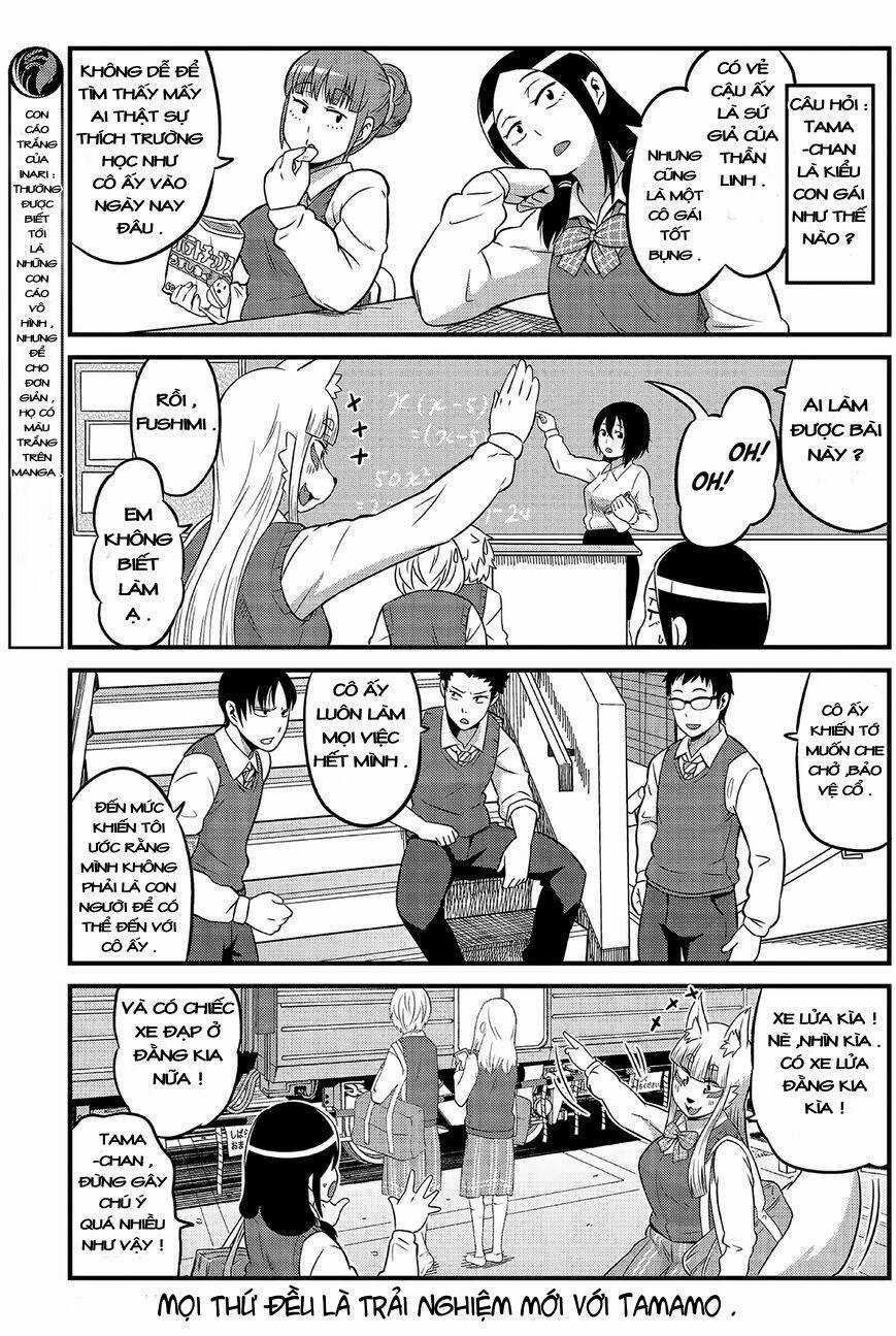 High School Inari Tamamo-Chan Chapter 1 trang 8