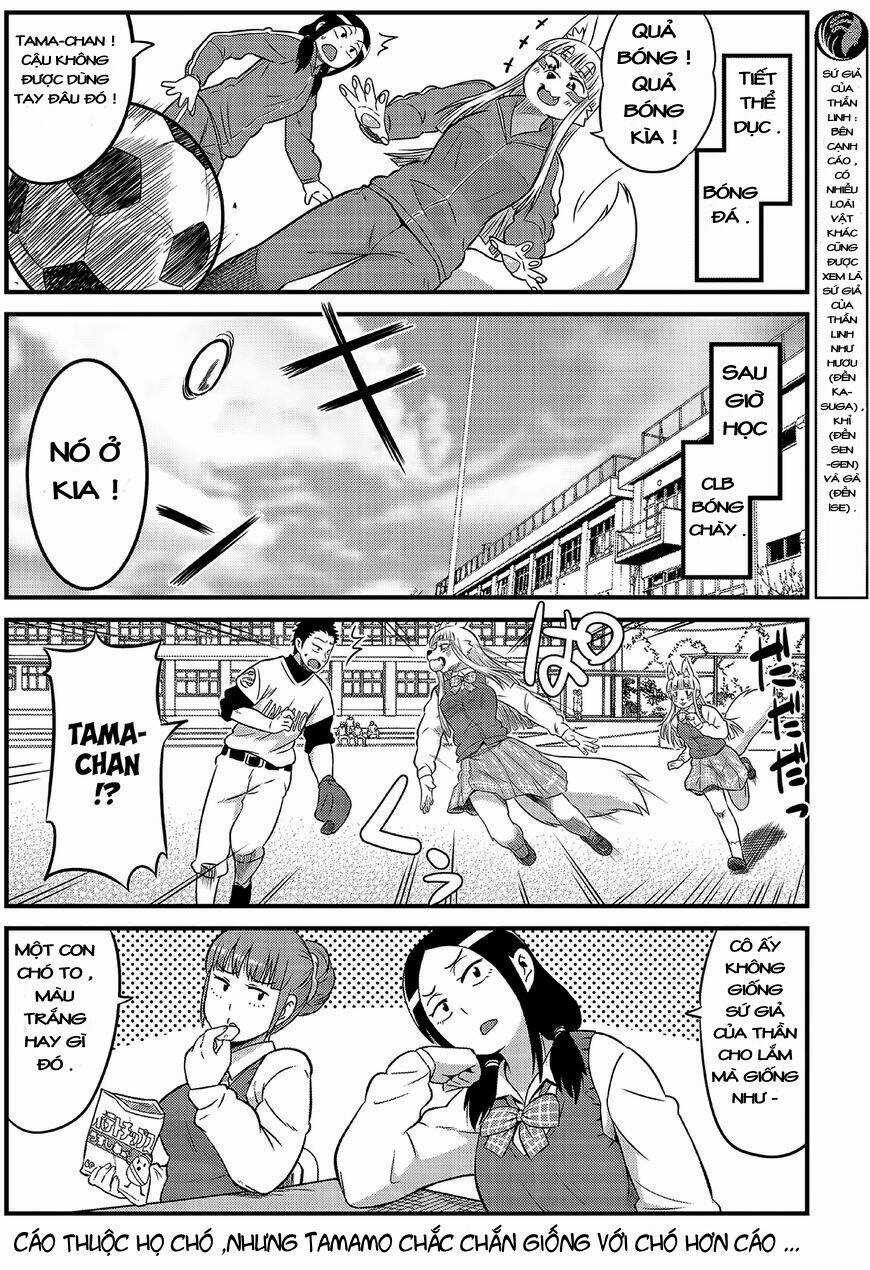 High School Inari Tamamo-Chan Chapter 1 trang 9