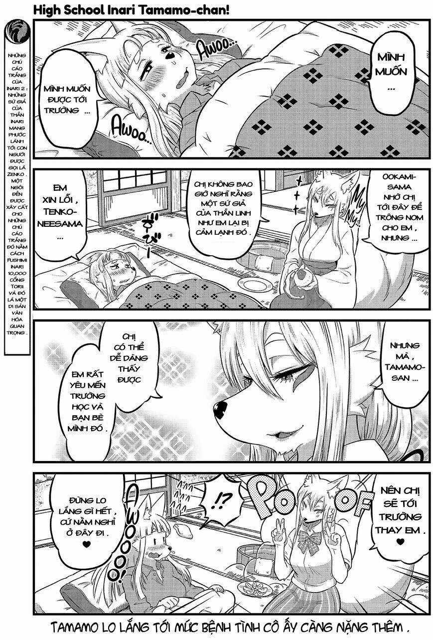 High School Inari Tamamo-Chan Chapter 10 trang 3