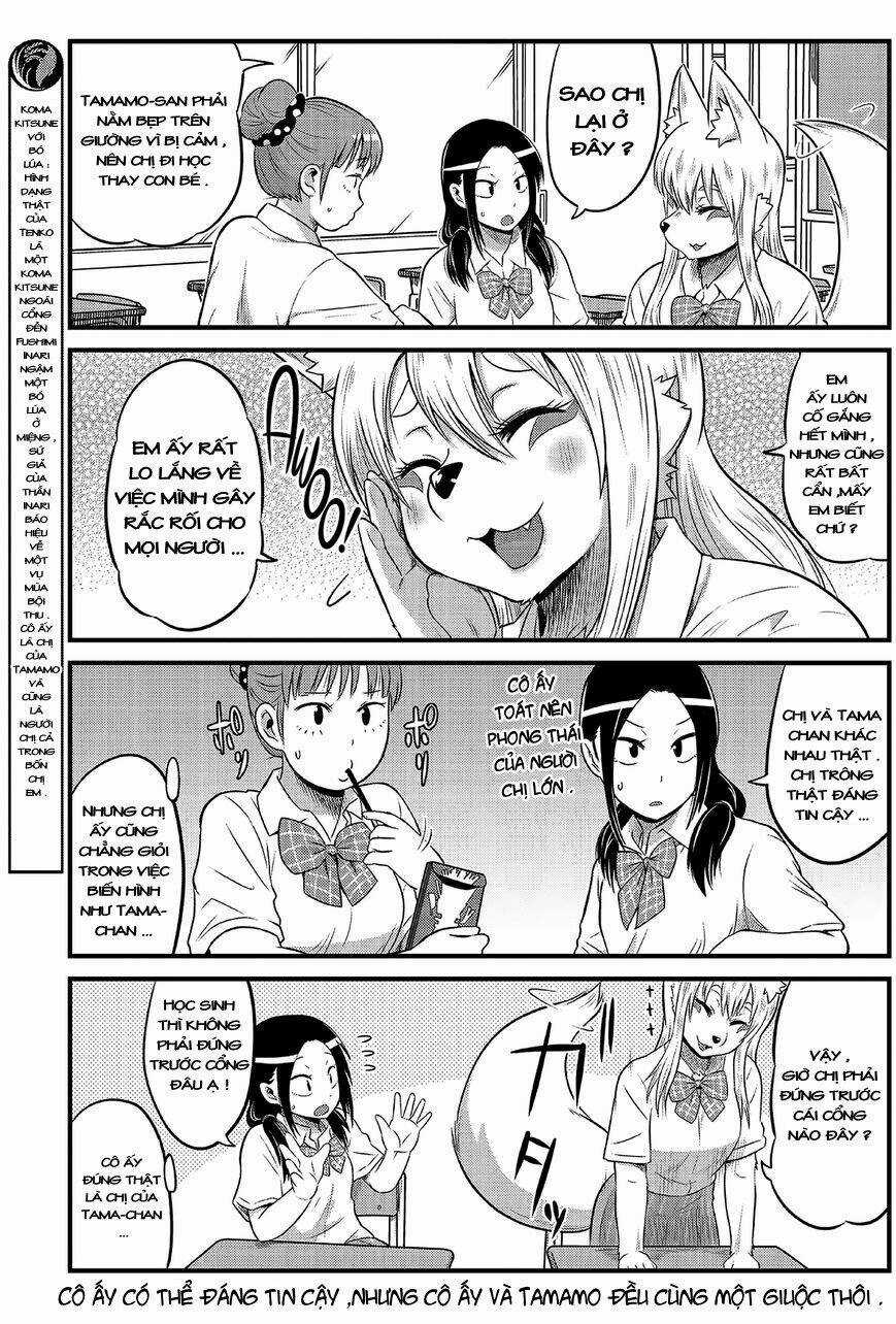 High School Inari Tamamo-Chan Chapter 10 trang 5