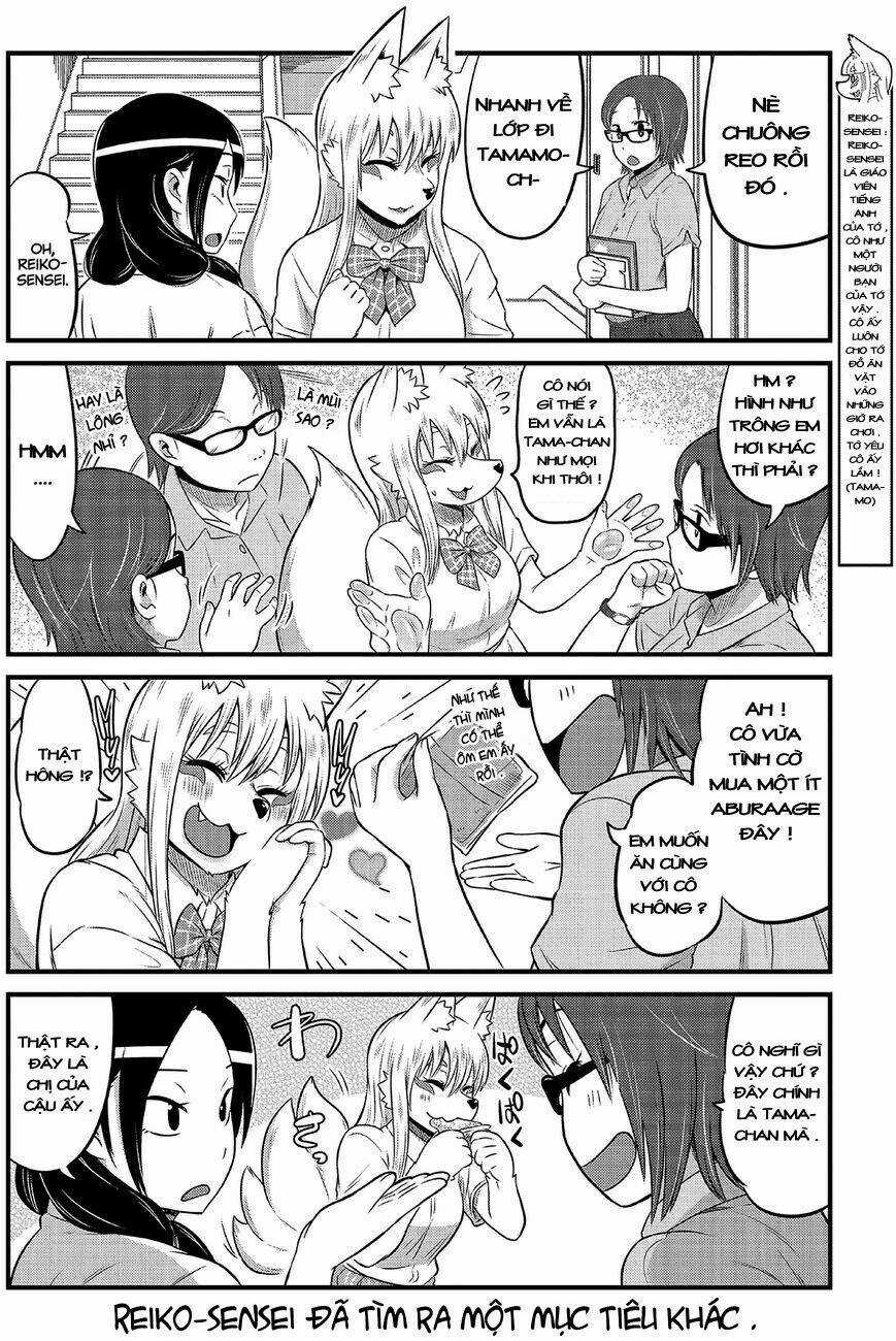 High School Inari Tamamo-Chan Chapter 10 trang 6