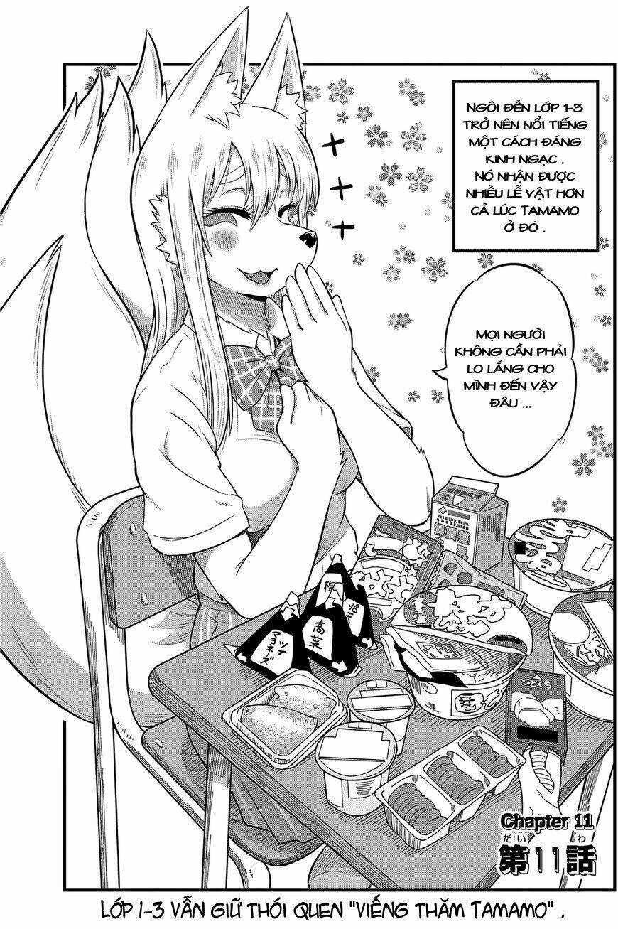 High School Inari Tamamo-Chan Chapter 11 trang 2