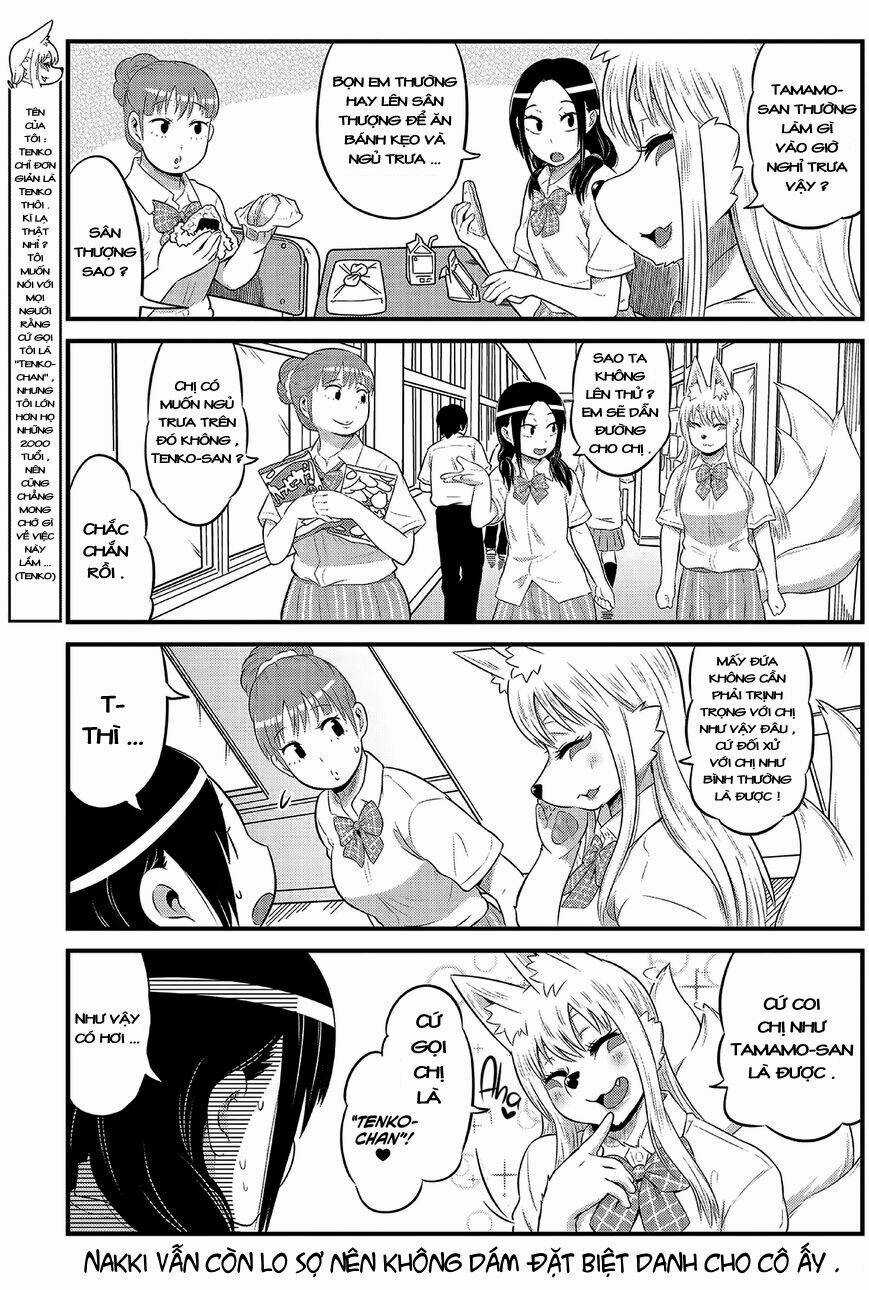 High School Inari Tamamo-Chan Chapter 11 trang 3