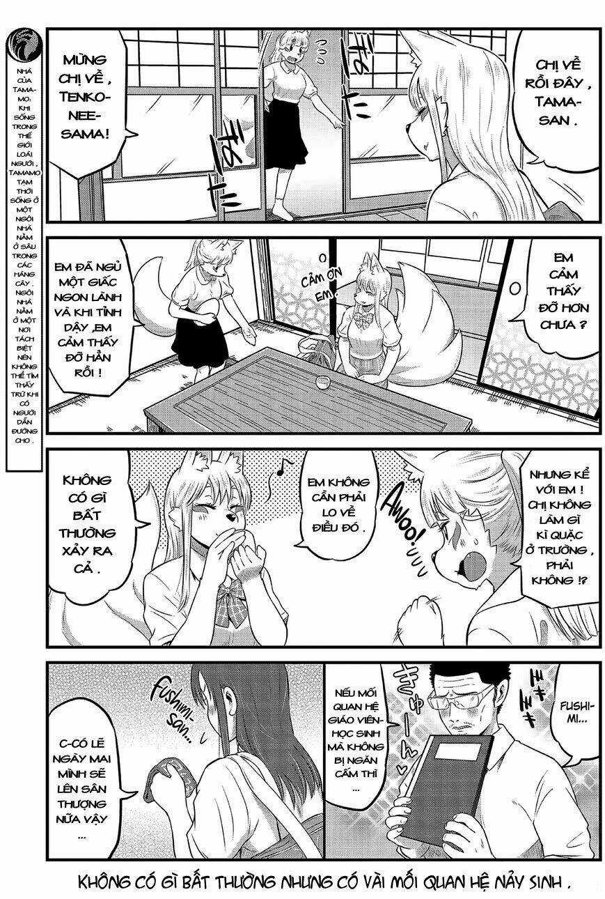High School Inari Tamamo-Chan Chapter 11 trang 7