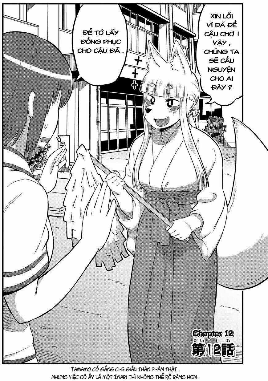High School Inari Tamamo-Chan Chapter 12 trang 2