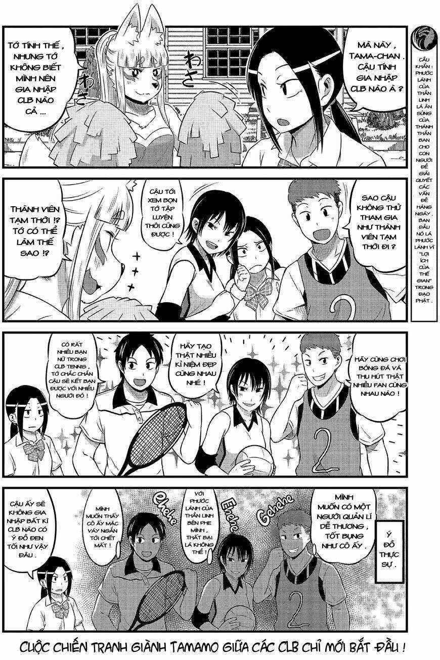 High School Inari Tamamo-Chan Chapter 12 trang 4