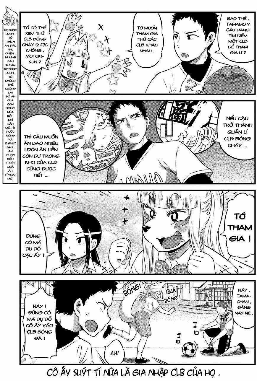 High School Inari Tamamo-Chan Chapter 12 trang 5