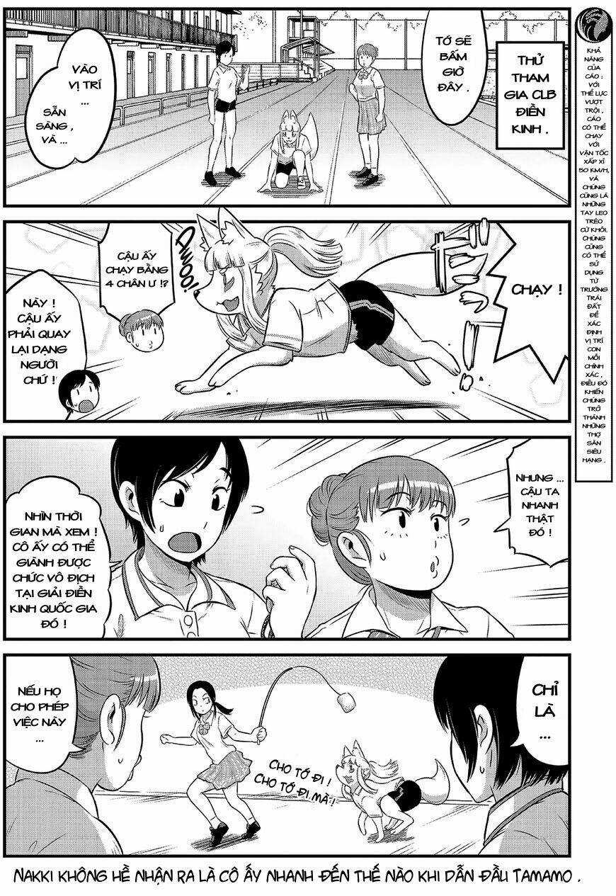 High School Inari Tamamo-Chan Chapter 12 trang 6