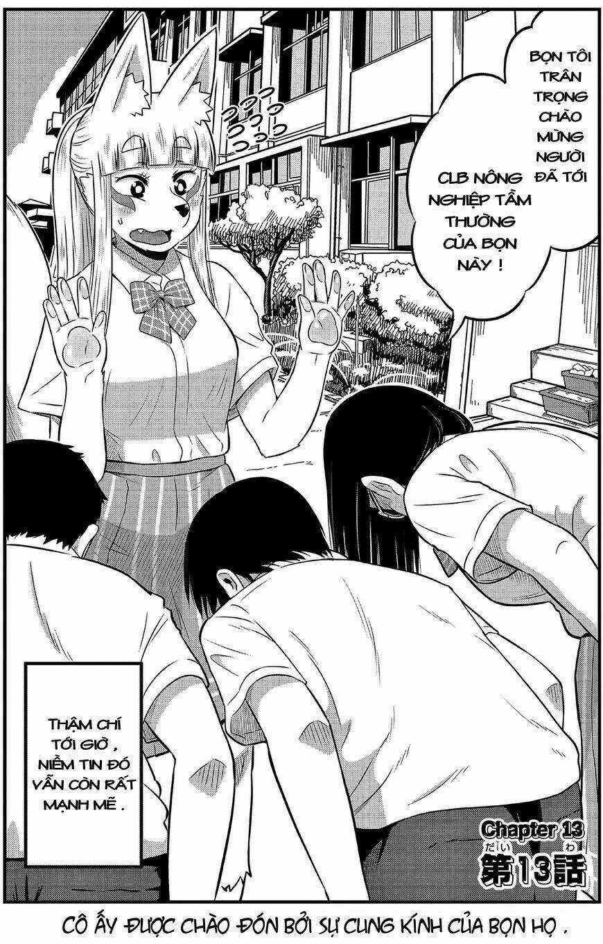 High School Inari Tamamo-Chan Chapter 13 trang 2