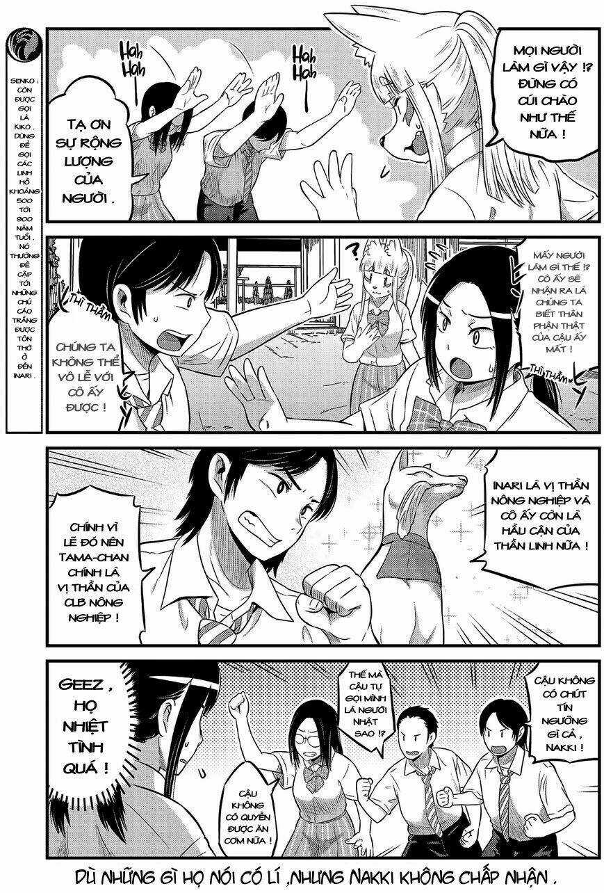 High School Inari Tamamo-Chan Chapter 13 trang 3
