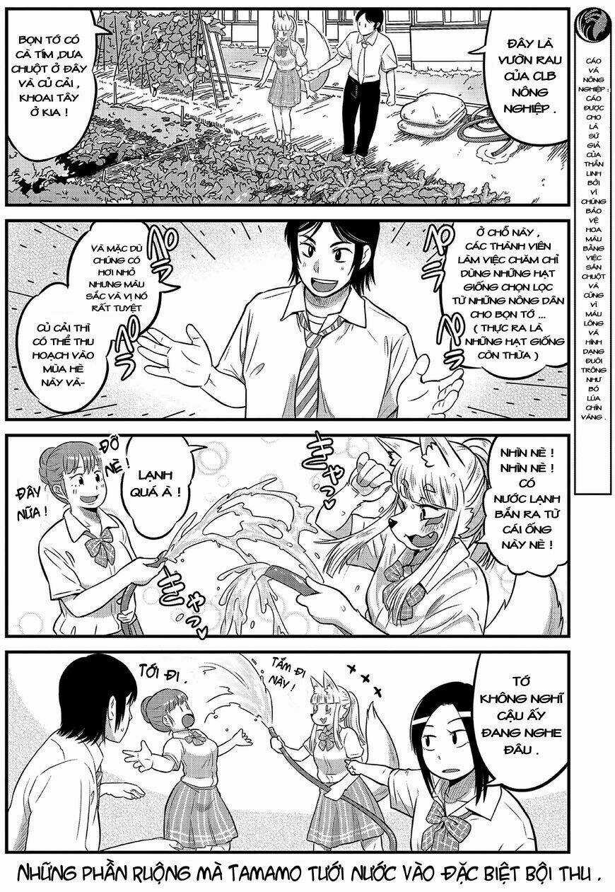 High School Inari Tamamo-Chan Chapter 13 trang 4