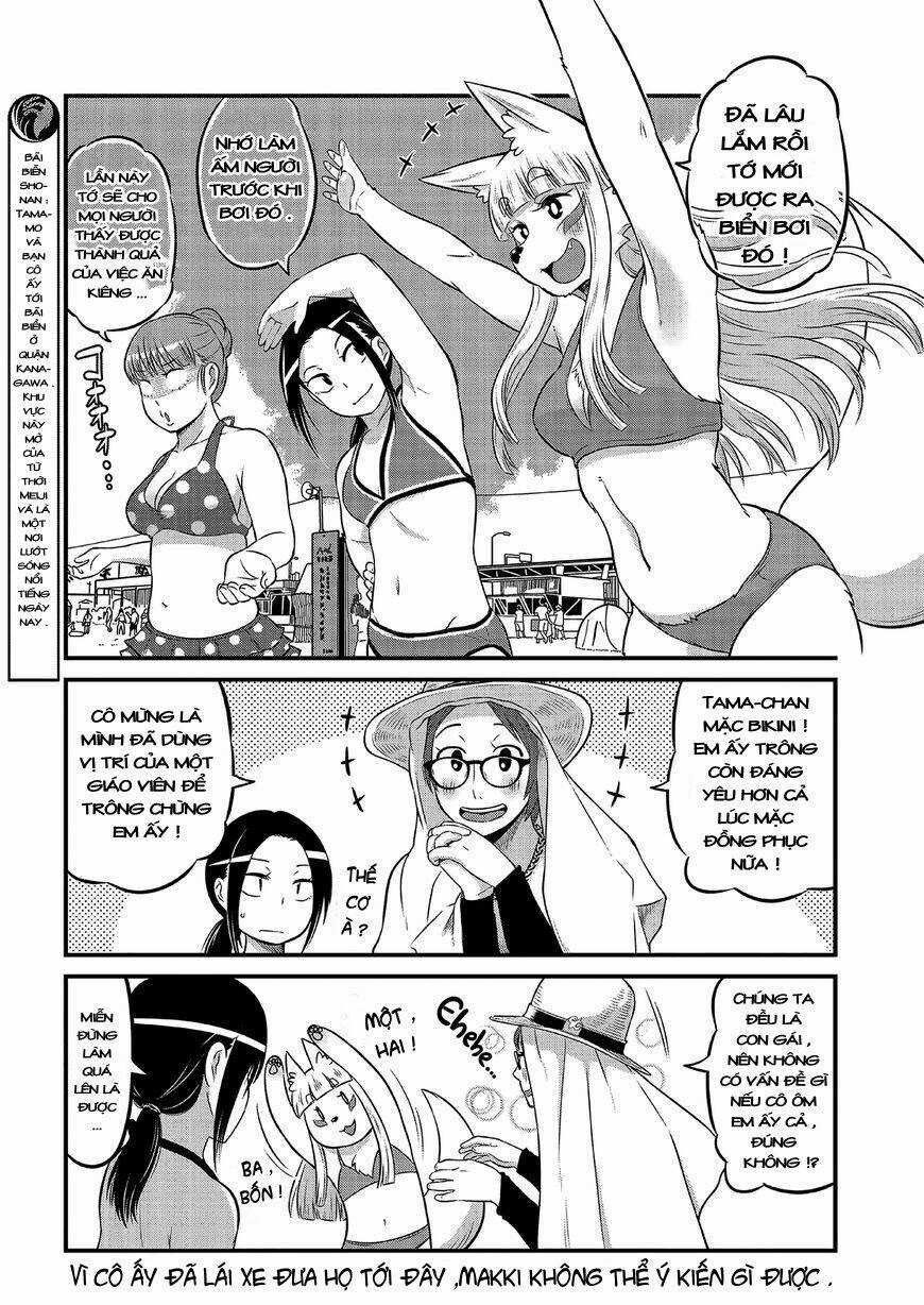 High School Inari Tamamo-Chan Chapter 14 trang 3