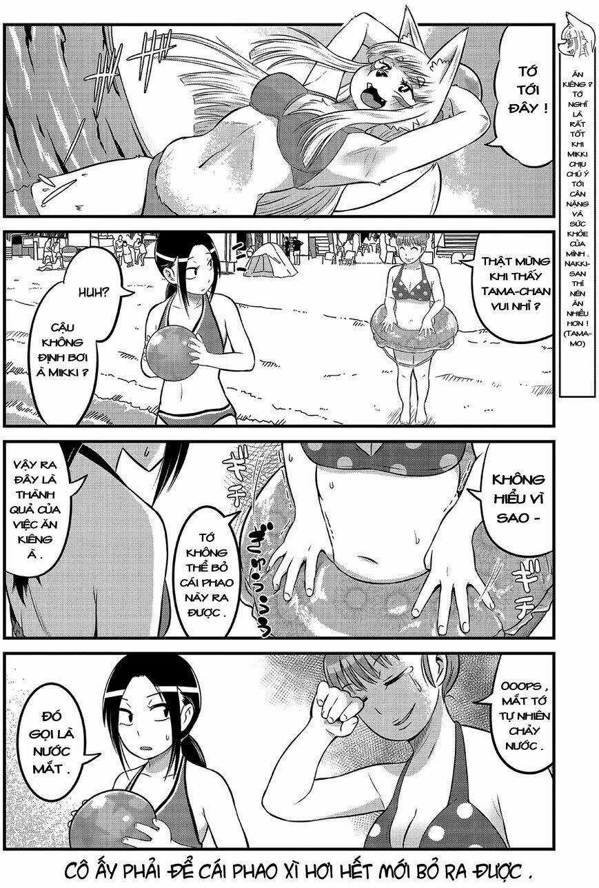 High School Inari Tamamo-Chan Chapter 14 trang 4