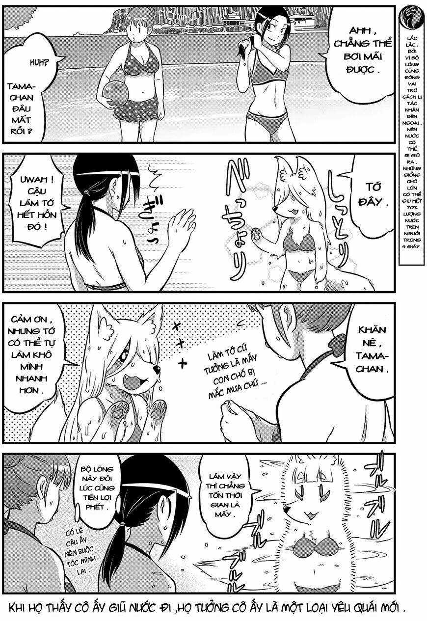 High School Inari Tamamo-Chan Chapter 14 trang 6