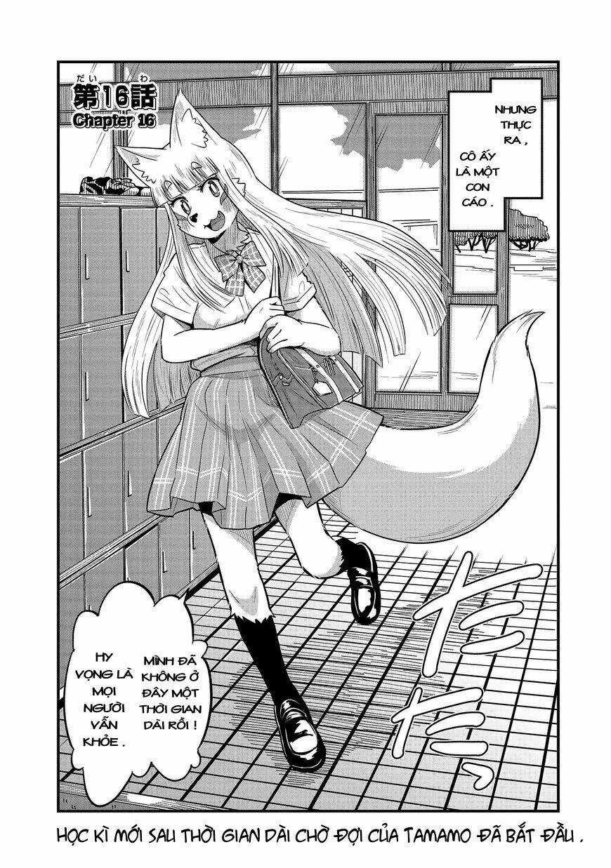 High School Inari Tamamo-Chan Chapter 16 trang 5
