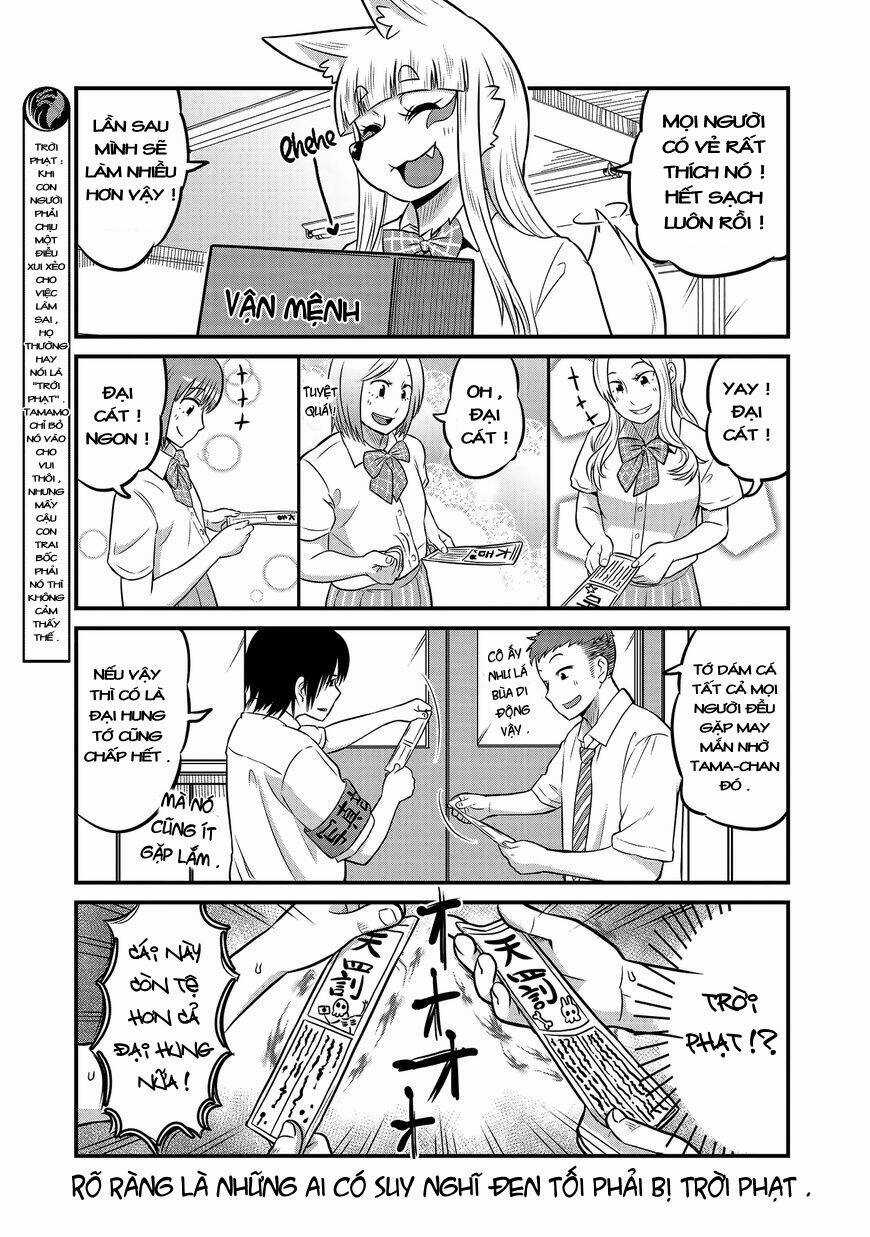 High School Inari Tamamo-Chan Chapter 17 trang 5