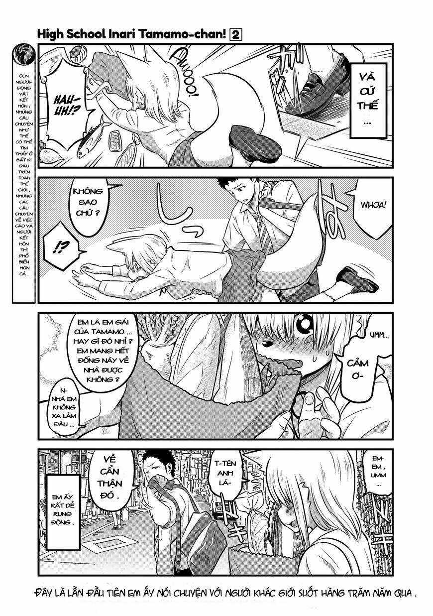 High School Inari Tamamo-Chan Chapter 19 trang 3
