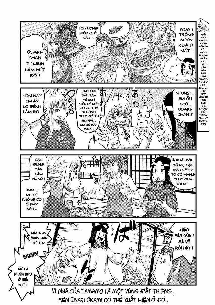 High School Inari Tamamo-Chan Chapter 19 trang 4