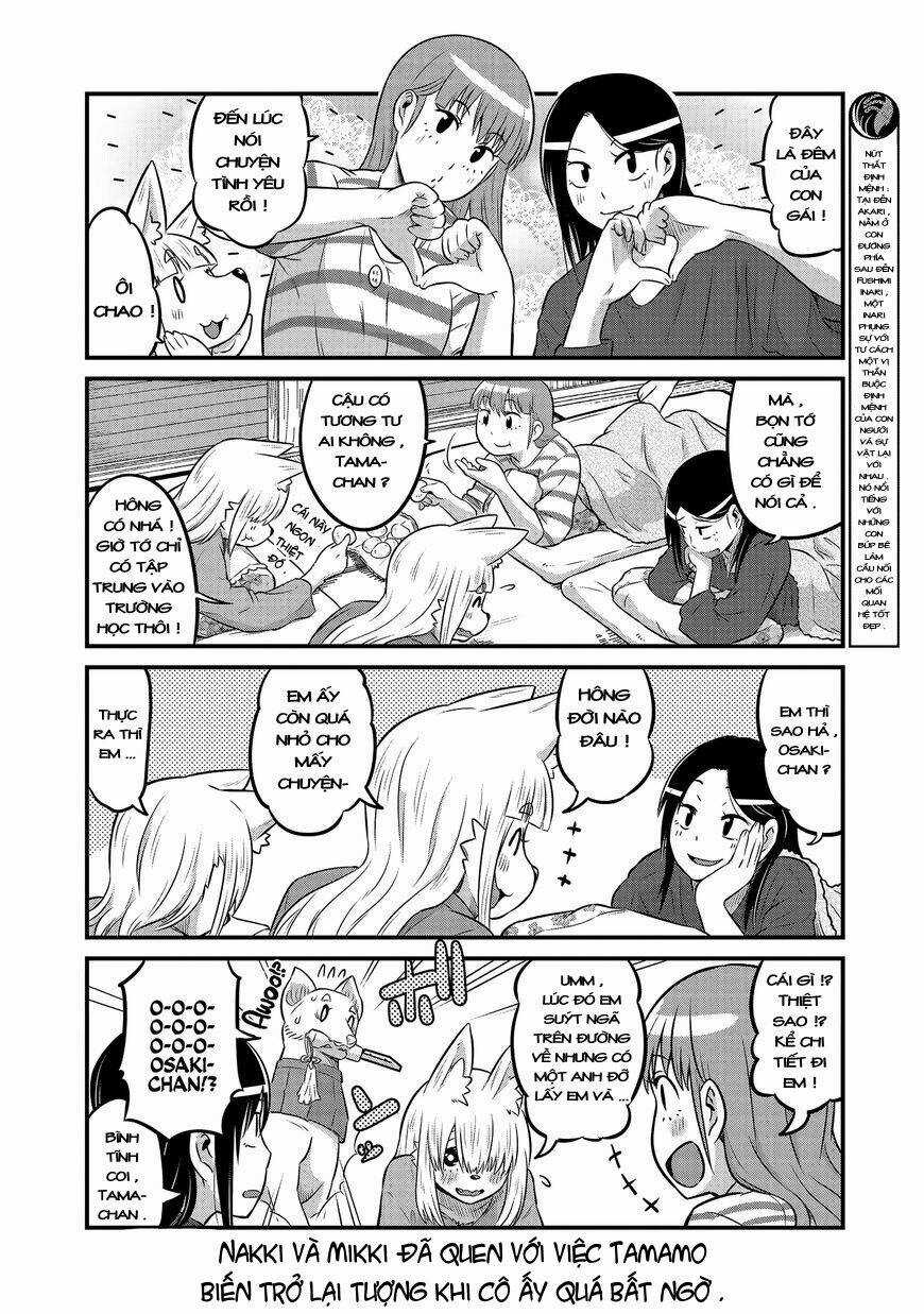 High School Inari Tamamo-Chan Chapter 19 trang 6