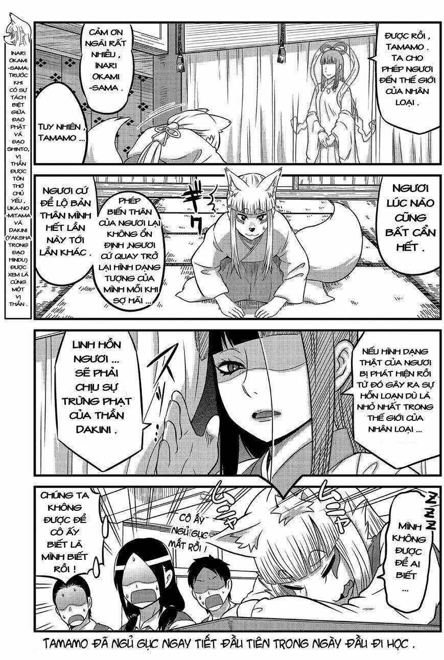 High School Inari Tamamo-Chan Chapter 2 trang 5