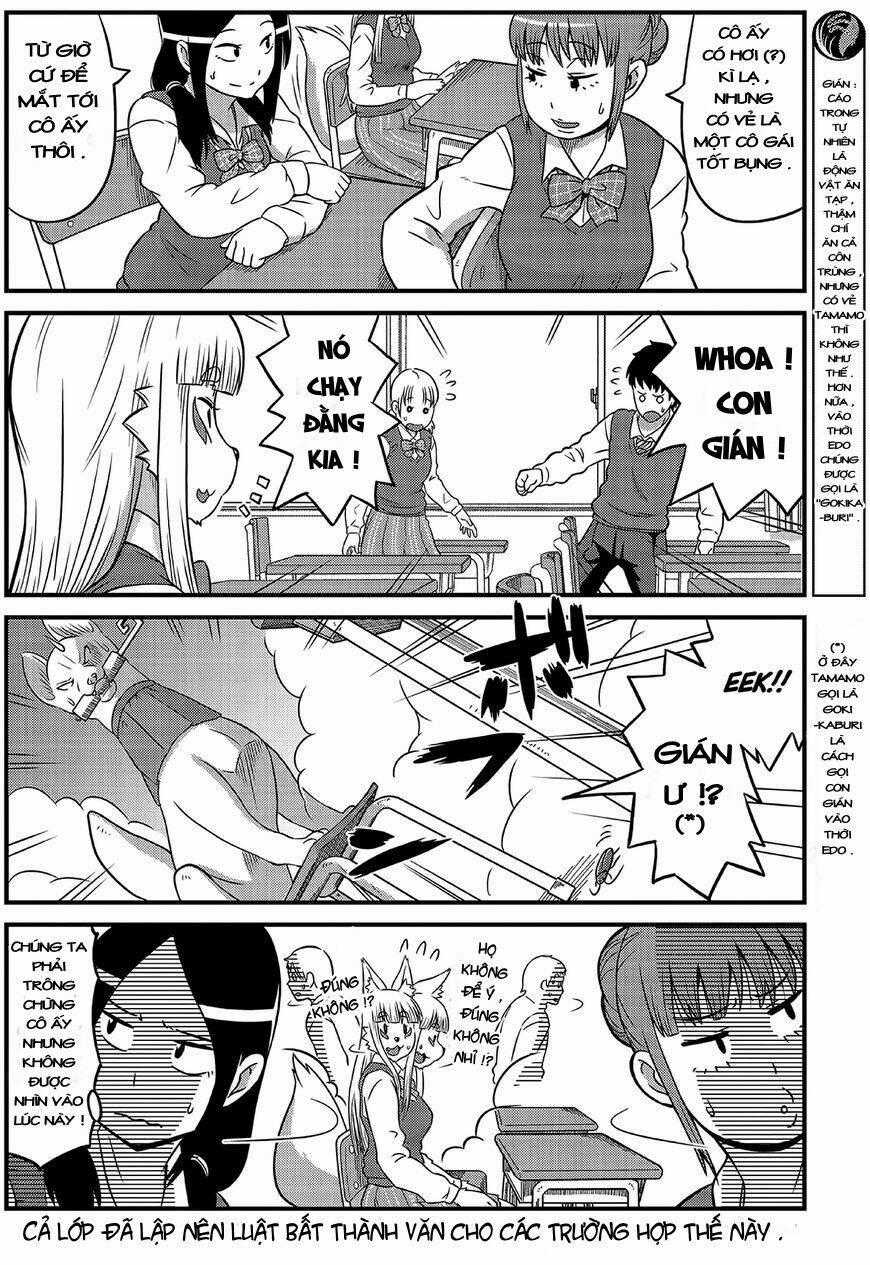 High School Inari Tamamo-Chan Chapter 2 trang 8