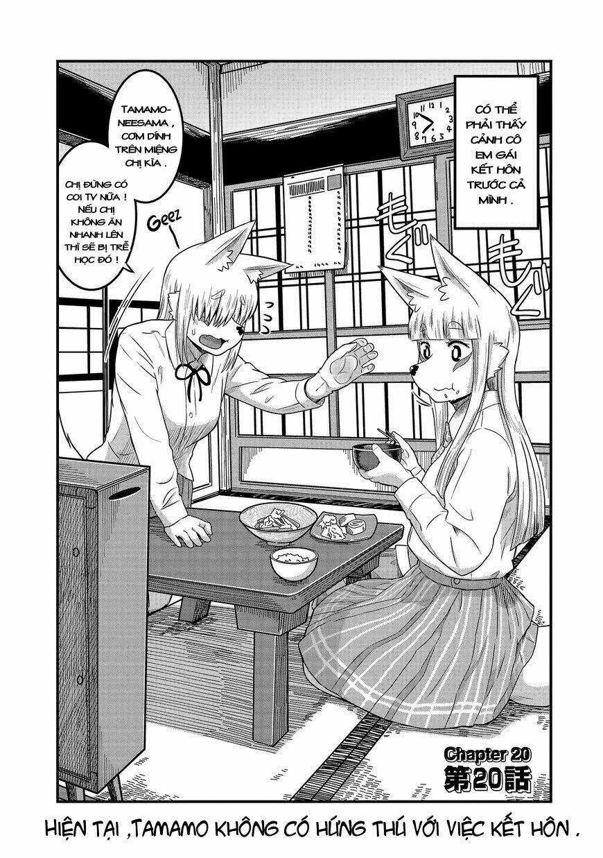High School Inari Tamamo-Chan Chapter 20 trang 2