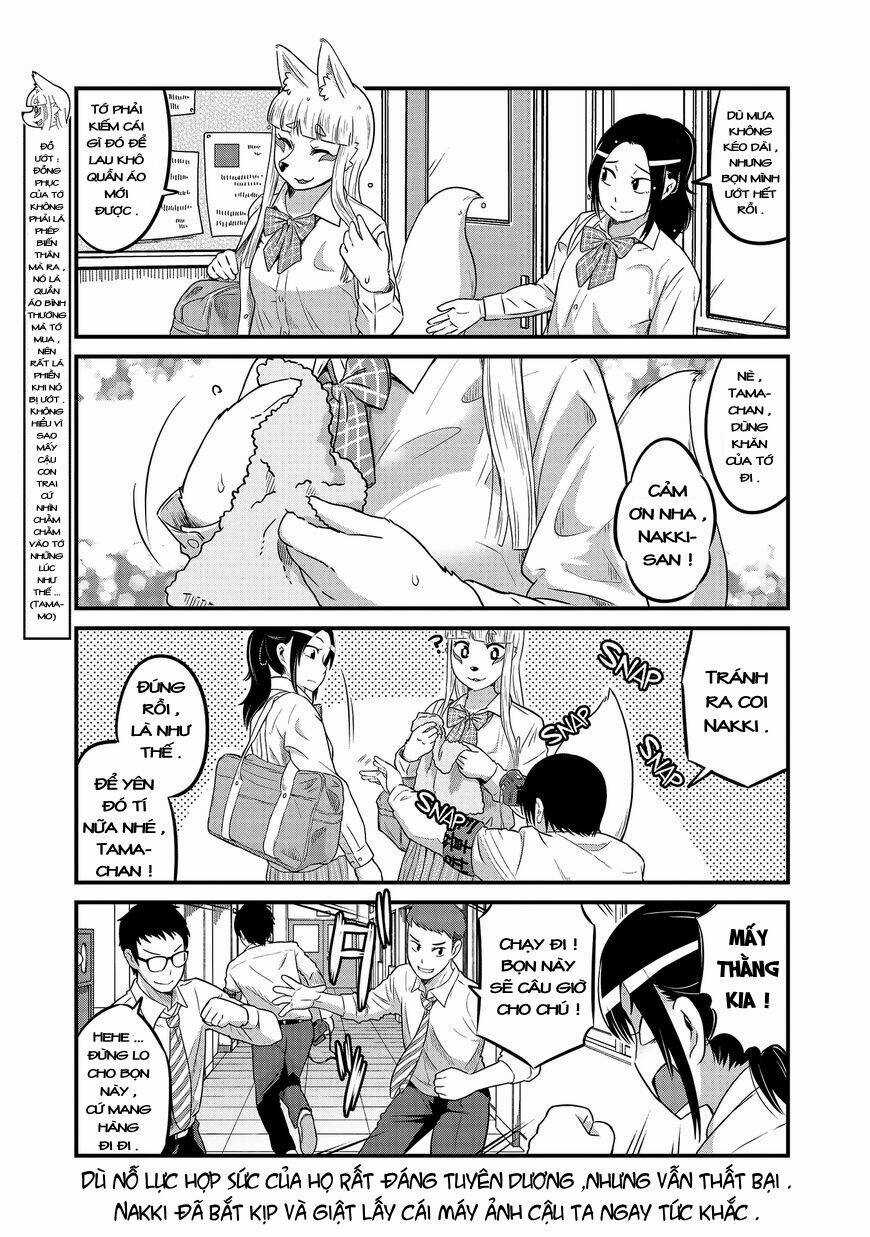 High School Inari Tamamo-Chan Chapter 20 trang 5