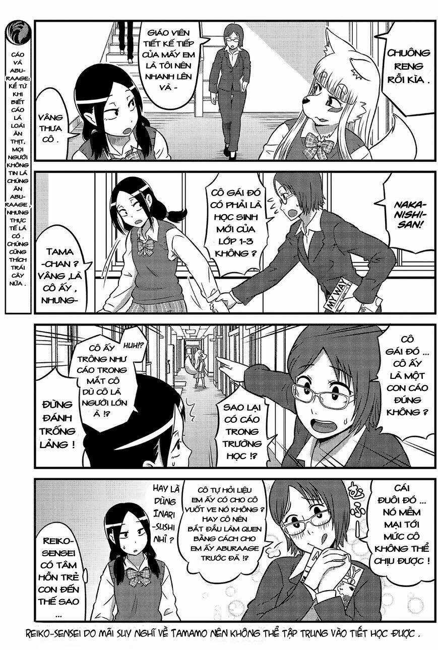 High School Inari Tamamo-Chan Chapter 3 trang 3