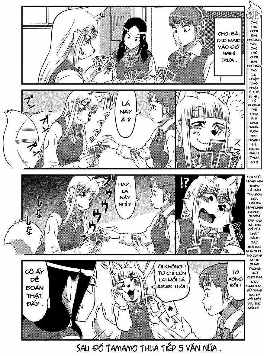 High School Inari Tamamo-Chan Chapter 3 trang 6