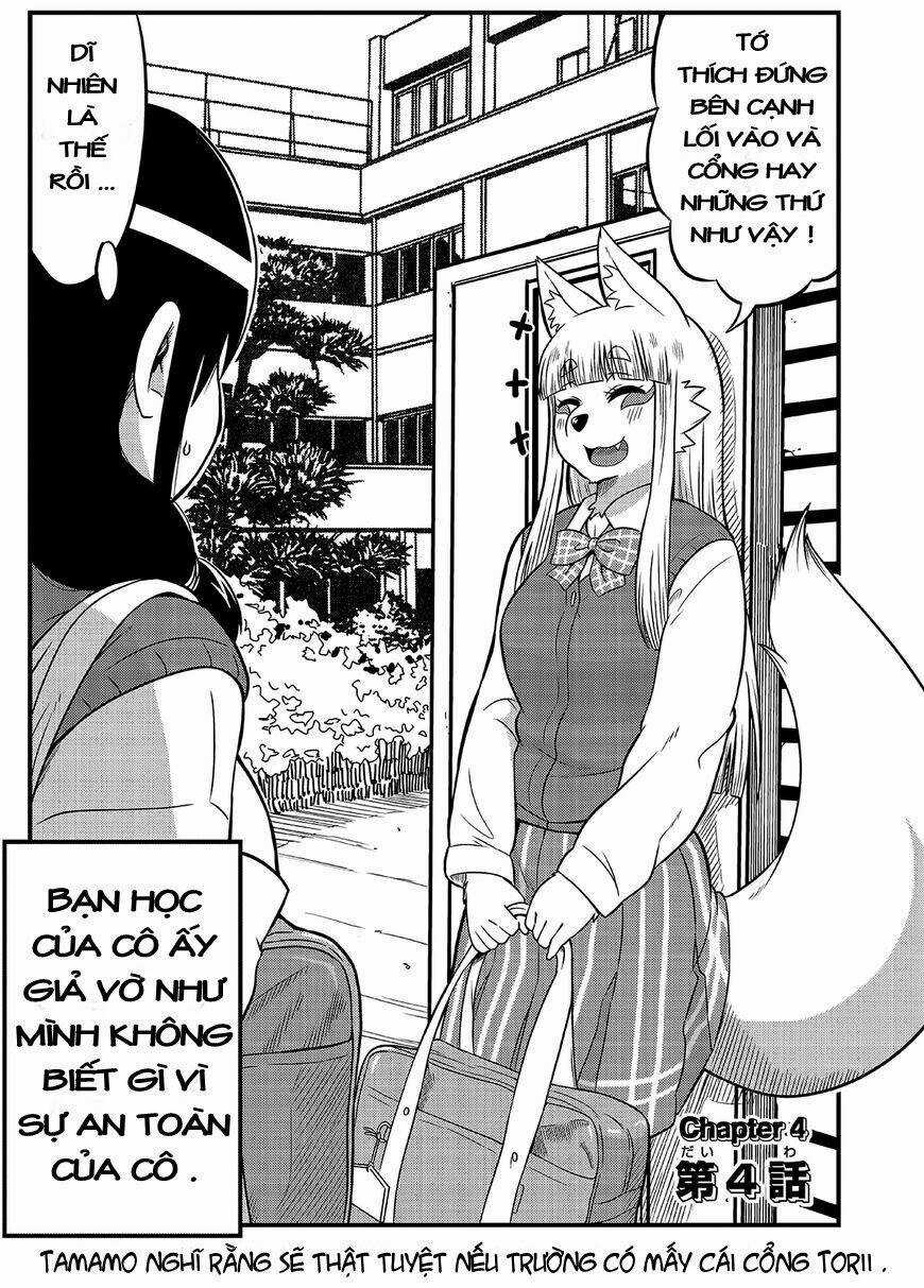 High School Inari Tamamo-Chan Chapter 4 trang 2