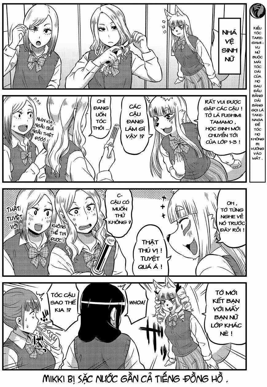 High School Inari Tamamo-Chan Chapter 4 trang 4