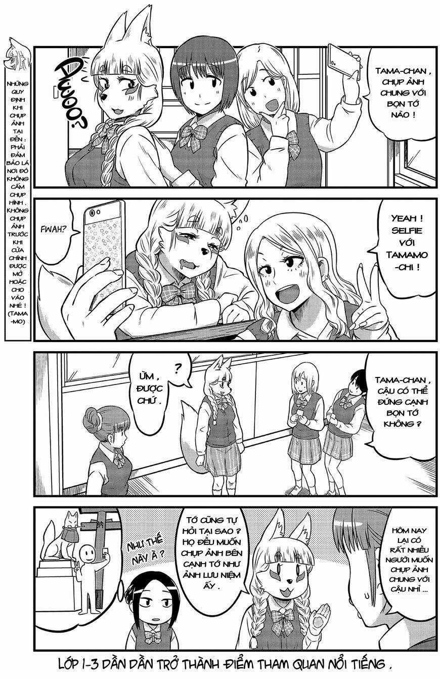 High School Inari Tamamo-Chan Chapter 4 trang 7