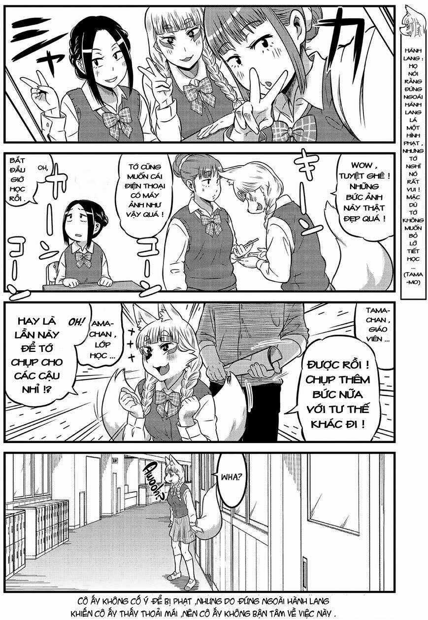 High School Inari Tamamo-Chan Chapter 4 trang 8