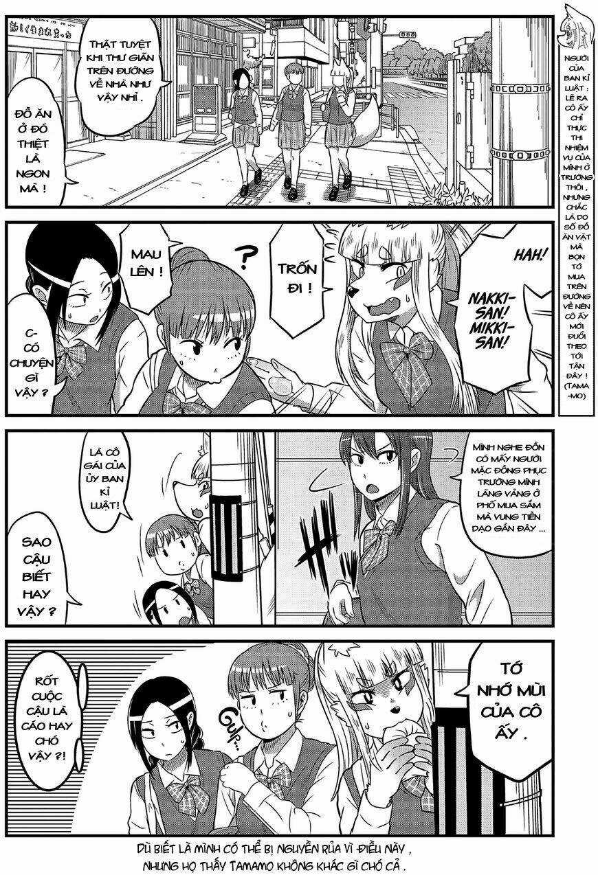 High School Inari Tamamo-Chan Chapter 7 trang 4