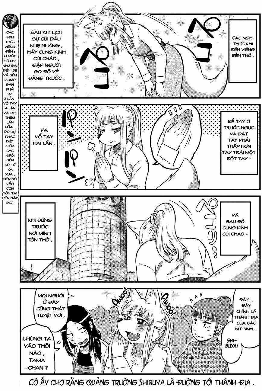 High School Inari Tamamo-Chan Chapter 8 trang 3